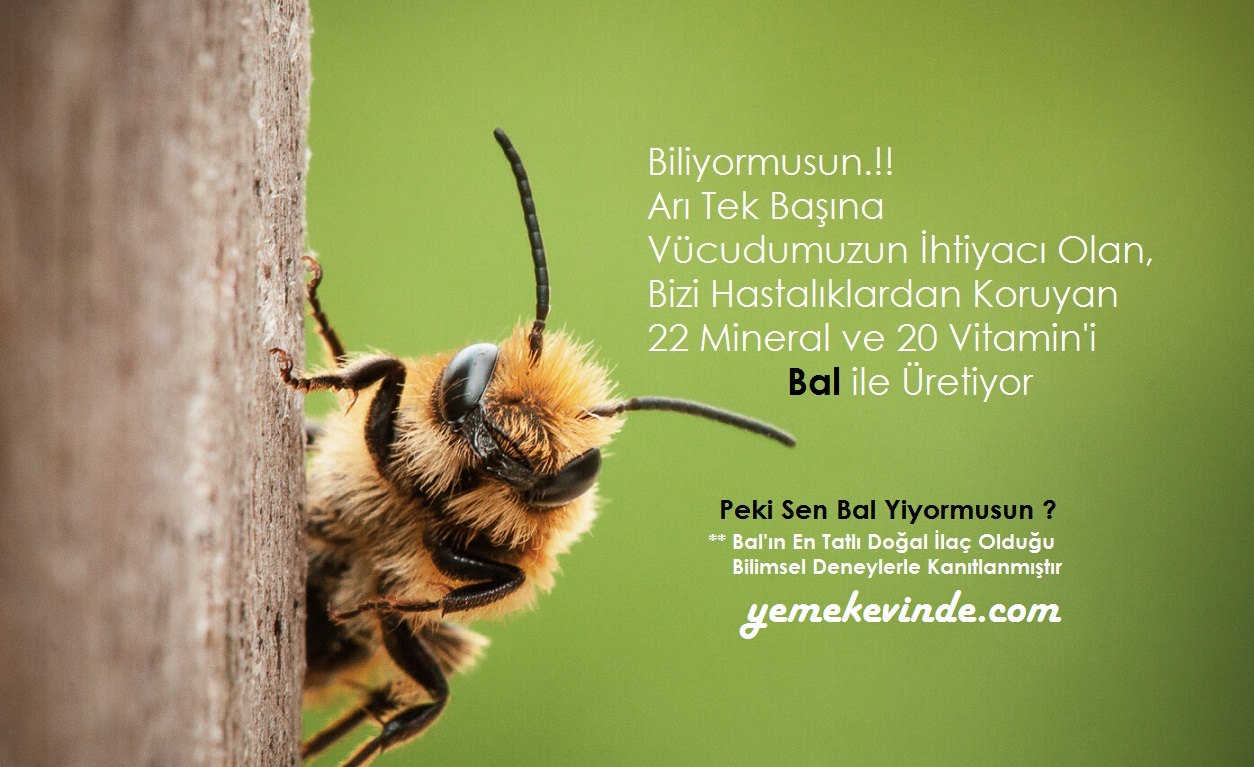 En Tatlı İlaç BAL